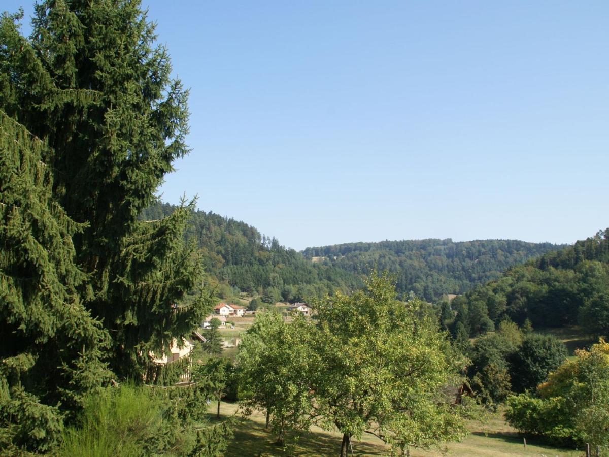 Charming Chalet In Ventron With Terrace חדר תמונה